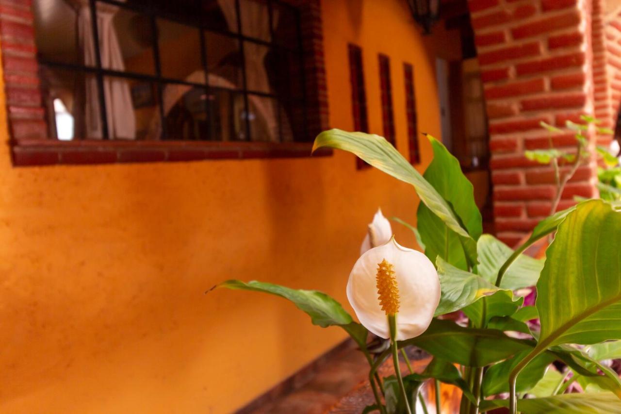 Mex Suites Casa Azul B&B Kota Meksiko Bagian luar foto