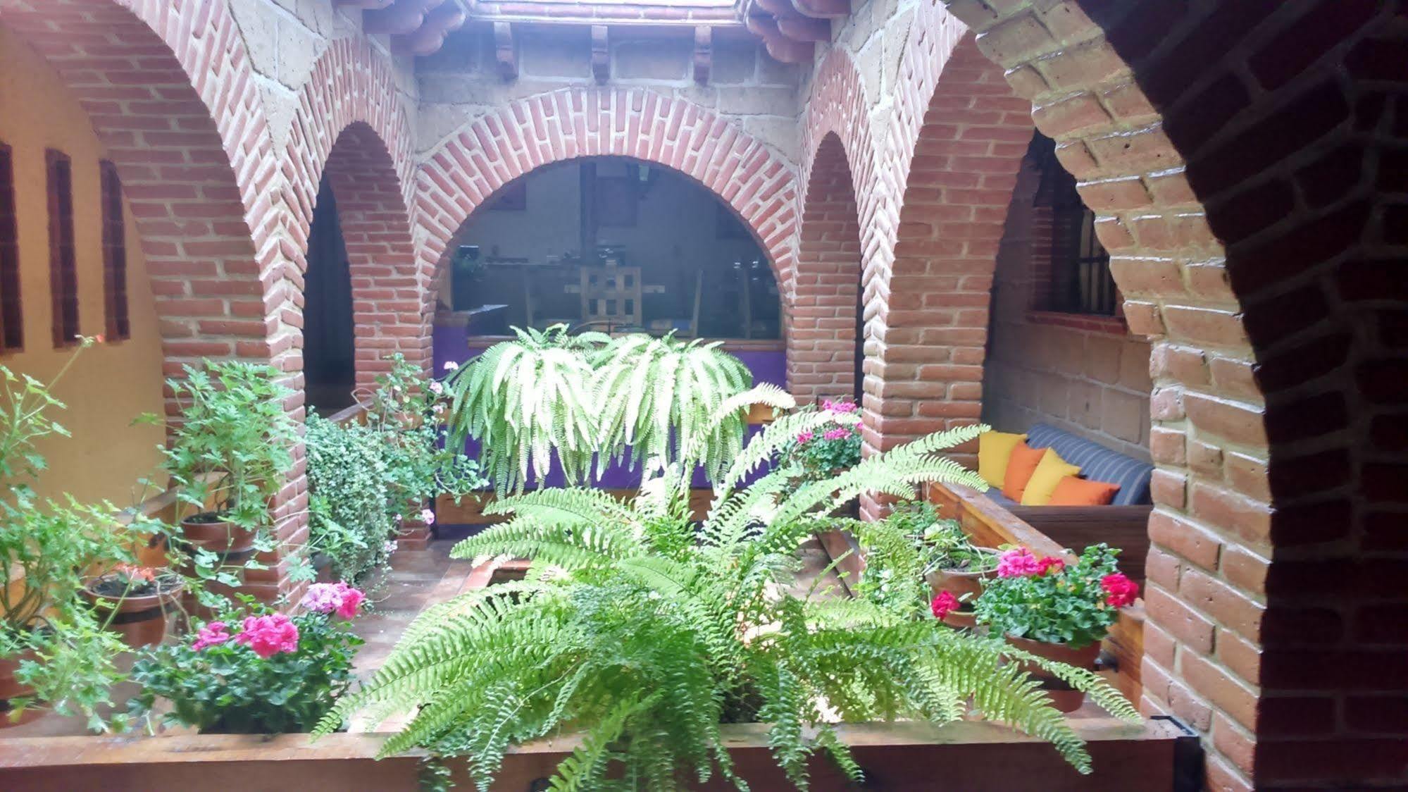 Mex Suites Casa Azul B&B Kota Meksiko Bagian luar foto
